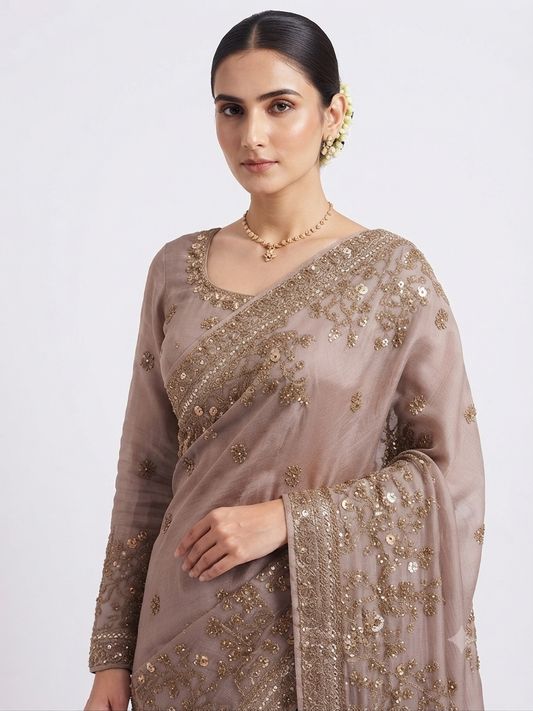 Elegant Embellished Saree Look
