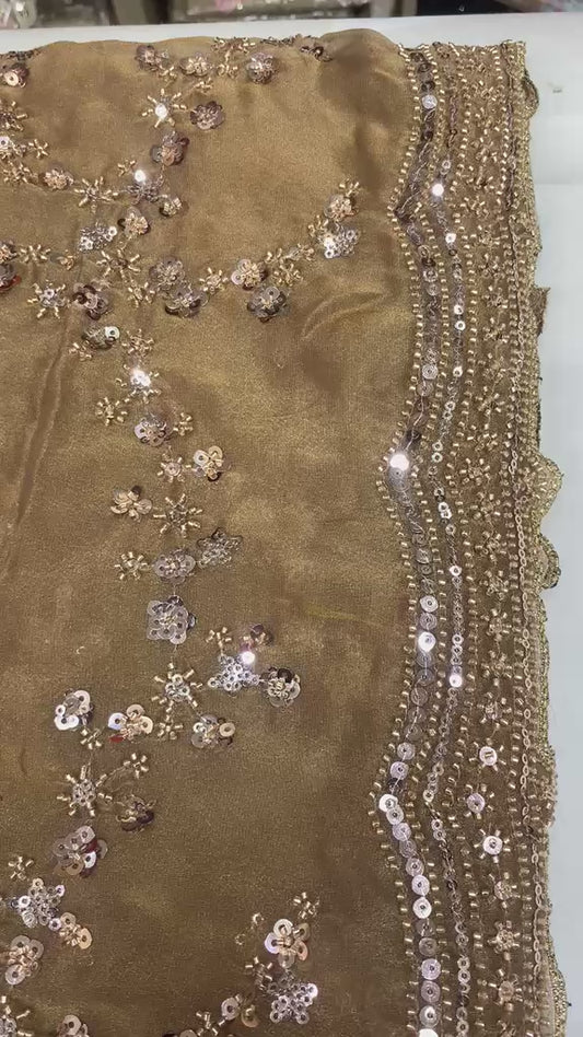 VIRAL SAREE - Golden Bronze Saree with Intricate Sequin Embroidery and Full-Sleeve Blouse
