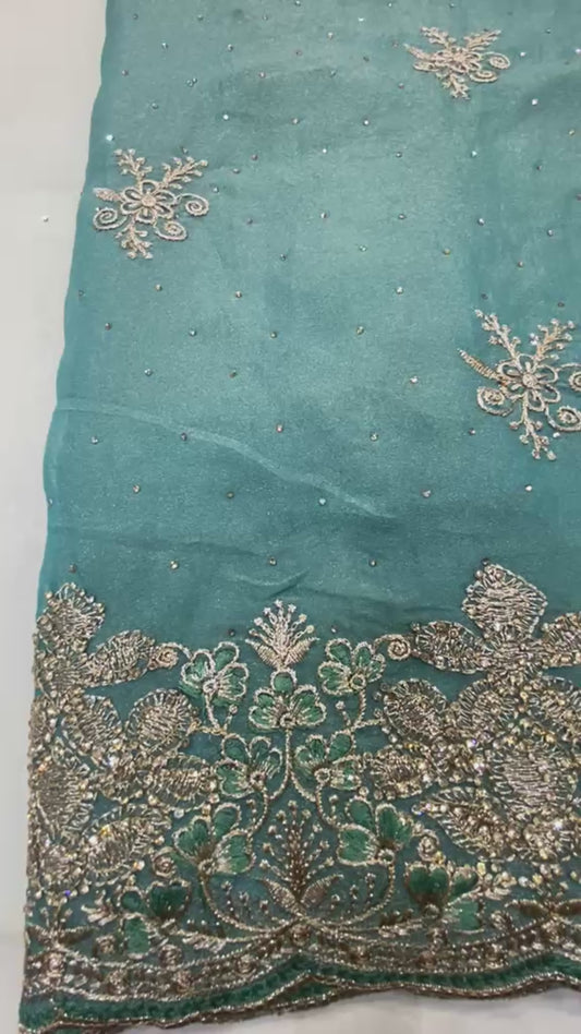 Light blue Saree with Full-Sleeve Blouse